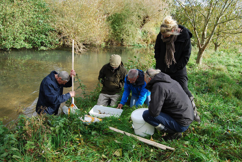 Riverfly Monitoring for the Windrush